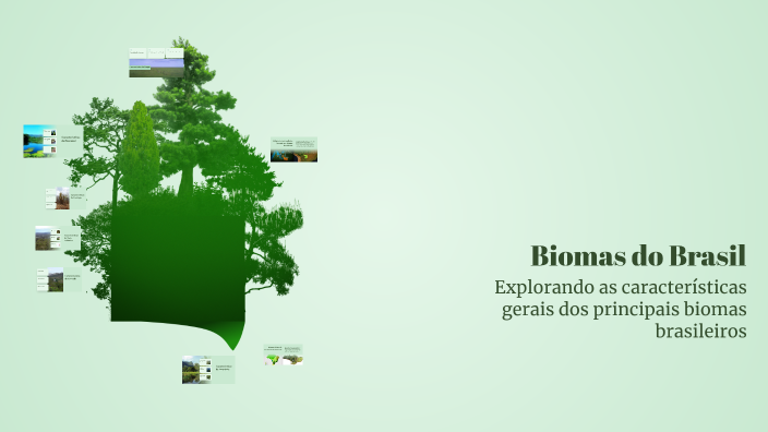 Biomas do Brasil by Eduardo Farias on Prezi