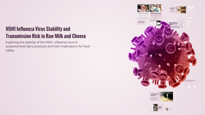 H5N1 Influenza Virus Stability and Transmission Risk in Raw Milk and ...