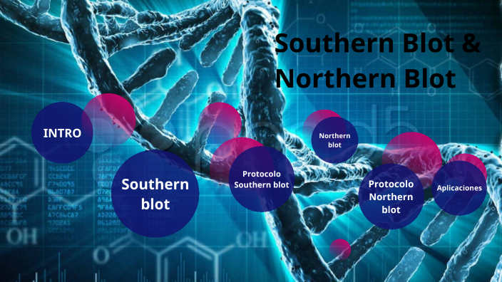 Southern Blot y Northern Blot by Francisco Cabrera Aguilar on Prezi