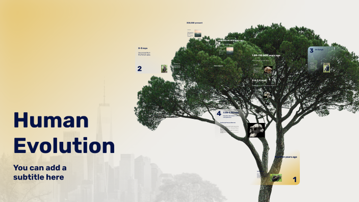 Human Evolution by Jazmin Victoria Santiago on Prezi
