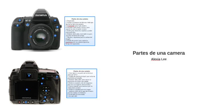 Partes de Una Camera by Alexia Lee on Prezi