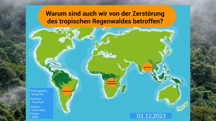 Zerstörung Des Regenwaldes Ursachen Und Folgen Warum sind auch wir von der Zerstörung des tropischen Regenwaldes
