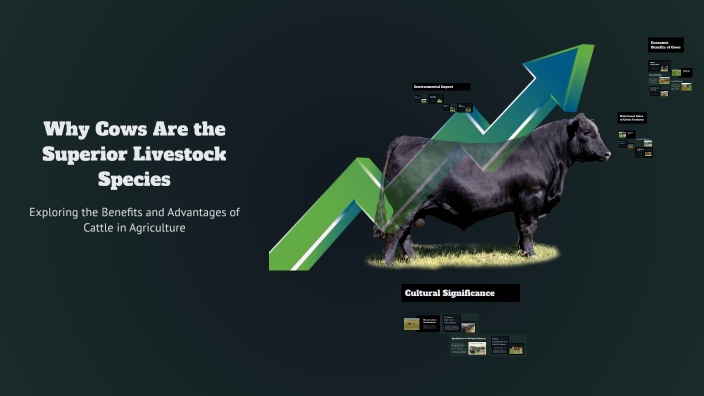 Why Cows Are the Superior Livestock Species by holley sheals on Prezi