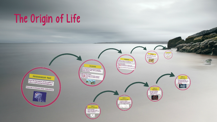 origin of life essay brainly