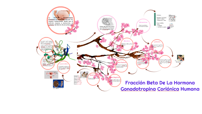 Hormona gonadotropina cuantitativa hot sale