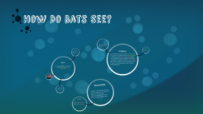 How Do Bats See? by chardonnay roberts on Prezi