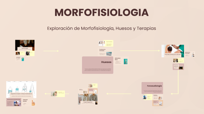 Mapa Mental by Mariana Funeme Fonseca on Prezi
