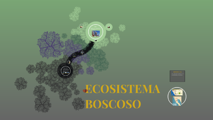 ECOSISTEMA BOSCOSO by Maricruz L. Armenta