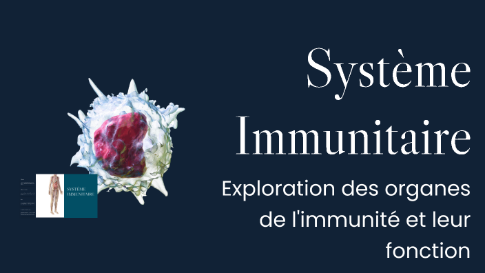 Système Immunitaire by Leane Chapelier on Prezi