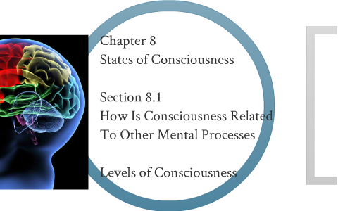 Psychology Levels Of Consciousness By Angela Bender