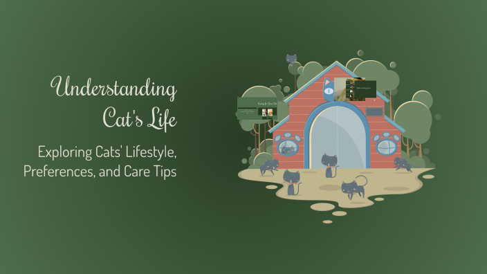 Understanding Cat's Life by 冰洁 张 on Prezi