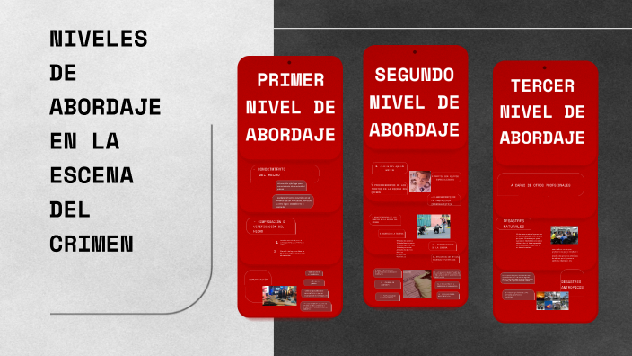 NIVELES DE ABORDAJE EN LA ESCENA DEL CRIMEN by Anderson Comina on Prezi