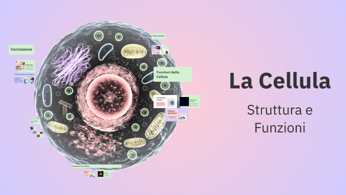 La Cellula by Gaia Biondi on Prezi
