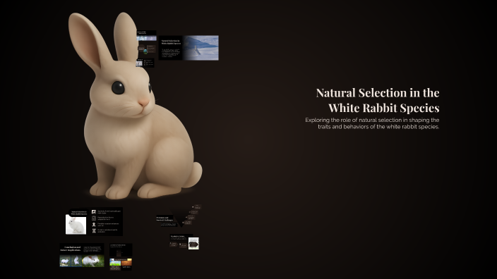 Natural Selection Example In Rabbits Natural Selection in the White Rabbit Species by GENESIS GUZMAN on Prezi