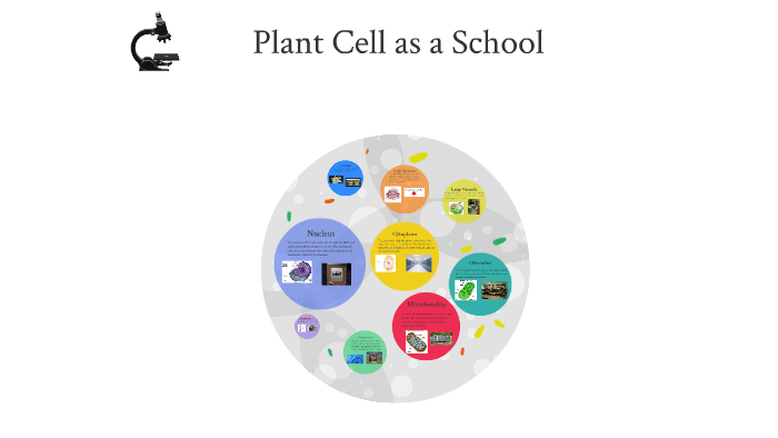 Plant Cell and School by emma mann on Prezi