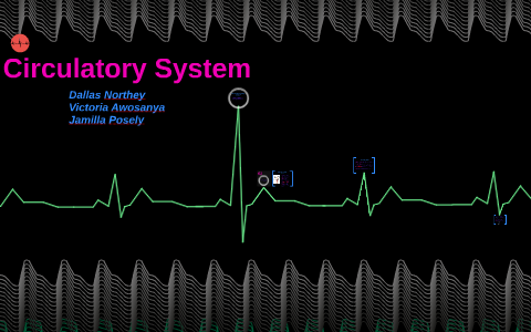 Circulatory System by Victoria Awosanya on Prezi