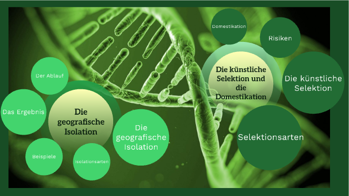 Geografische Isolation/Knstliche Selektion by carolin s on Prezi