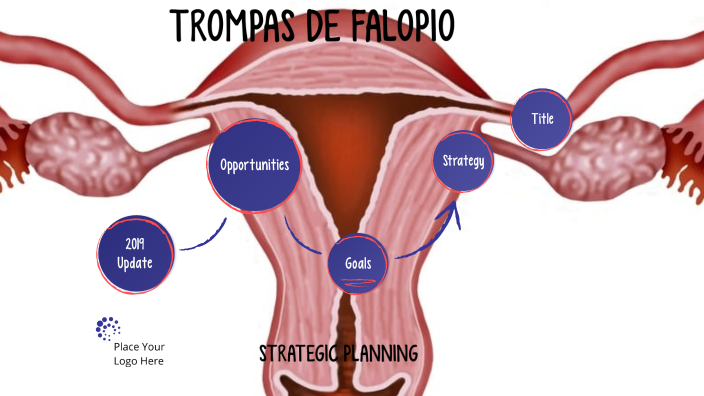 TROMPAS DE FALOPIO by Angie Henao Cardona on Prezi