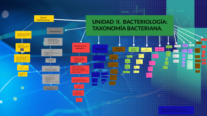 Microbiologia y Patologia by BRAULIO MARCIAL QUINTERO on Prezi