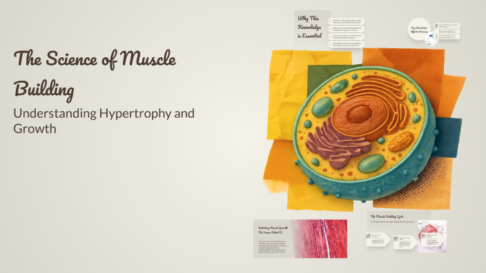 The Science of Muscle Building by Grant Carpenter on Prezi
