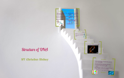 Structure Of DNA by Chris Richey on Prezi