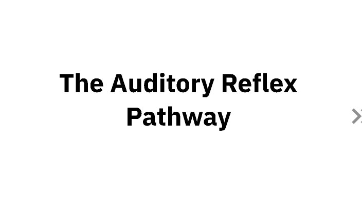 The Acoustic Reflex Pathway by s aven on Prezi