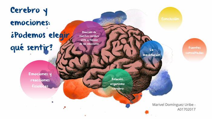 Cerebro Y Emociones By Daniela Morales Canela