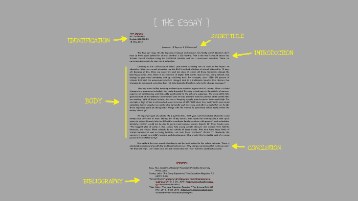 Prezi presentation essay 07 image