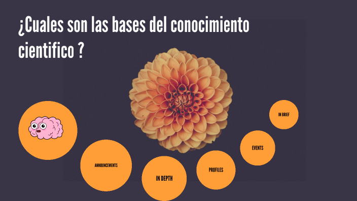 ¿Cuales son las bases del conocimiento científico? by pedro guerrero