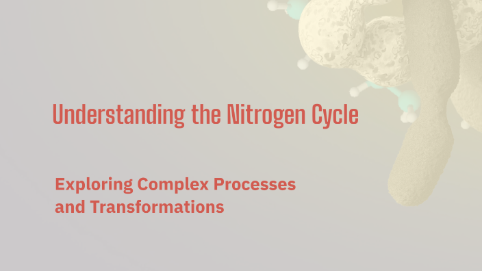 Understanding the Nitrogen Cycle by Alishba Fatima on Prezi