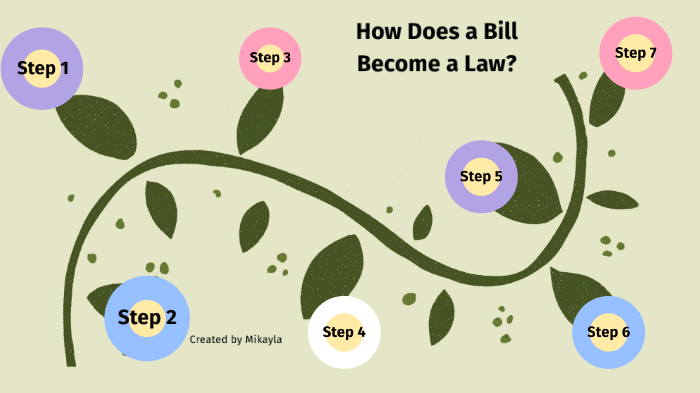 7 Steps For A Bill To Become A Law By Mikayla Brooks On Prezi Next