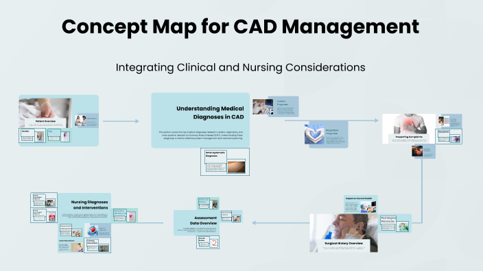 Devan A Rice Concept Map for CAD Management by Devan Rice on Prezi
