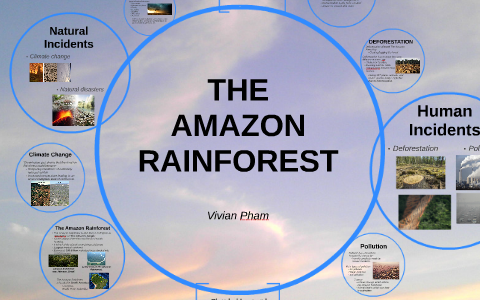 The Amazon Rainforest by vivian pham on Prezi