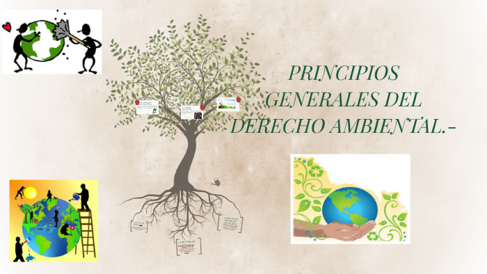 Principios Generales Del Derecho Ambiental By Mònica Ayala 6227