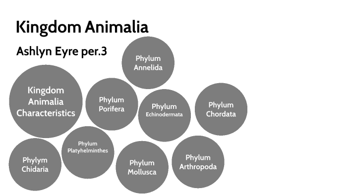 Zoology project by Ashlyn Eyre on Prezi