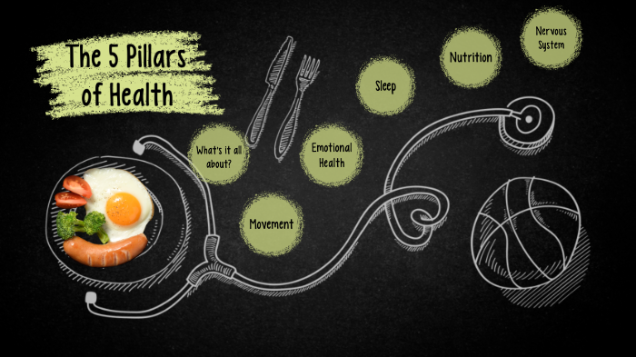5 Pillars of Health by Emerald Mojica on Prezi