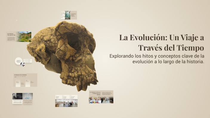La Evolución: Un Viaje a Través del Tiempo by JAIME ALEJANDRO OYARZÚN ...