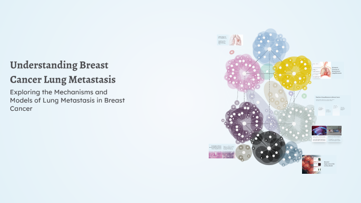 Understanding Breast Cancer Lung Metastasis by Laura Fallert on Prezi