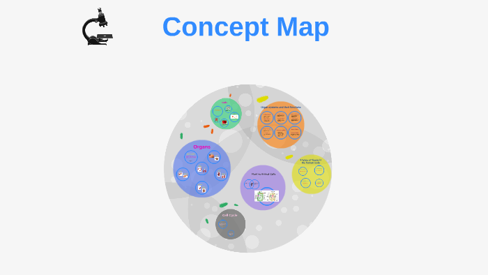Concept Map by Allison Perry on Prezi