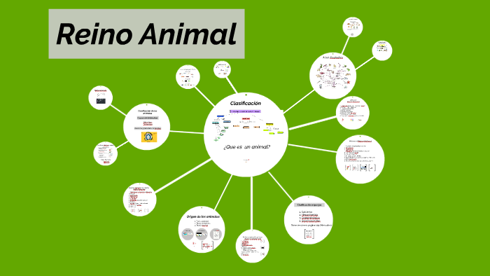 Reino Animal by on Prezi Next