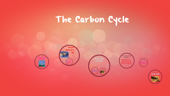 The Carbon Cycle By Carmen Sanchez by Carmen Sanchez on Prezi