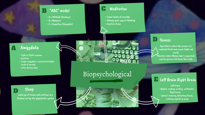 Concept Map by Kendall Soldan on Prezi