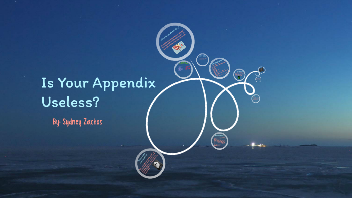 Why do we need an Appendix by Sydney Zachos on Prezi