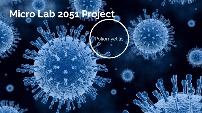 Micro Lab Project by Macy Chassereau on Prezi