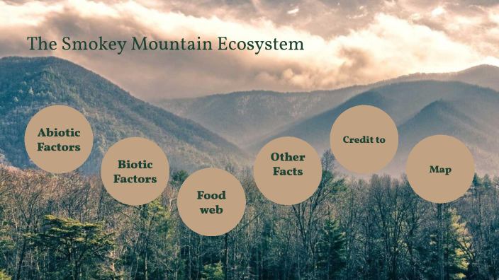 mountain ecosystem pictures