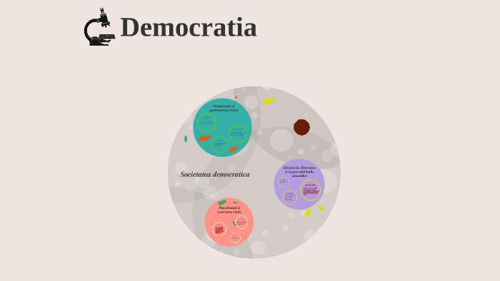 Societate democratica