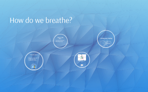 How do we breathe? by Tiffany Gobac on Prezi