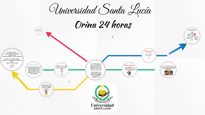 recomendaciones para examen de orina 24 horas