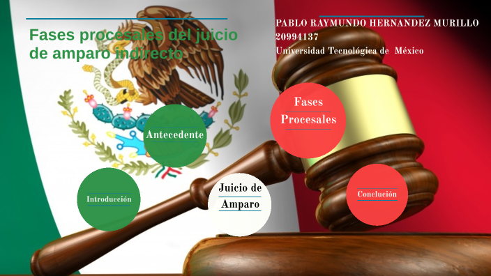FASES PROCESALES DE JUICIO DE AMPARO INDIRECTO by Ray Hernández on Prezi