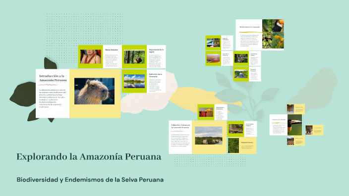 Explorando la Amazonía Peruana by melany sharloth arista alvarado on Prezi